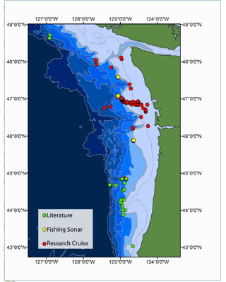 Illustration for article titled Warming Waters May Be Releasing Giant Plumes of Methane Off the U.S. West Coast